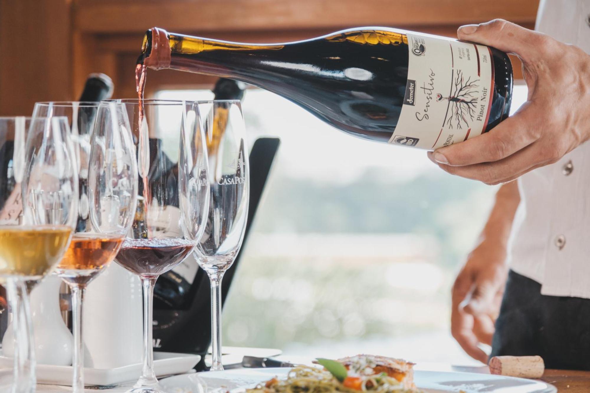 Villa Vinicolla Hospedagem Conceito Bento Gonçalves Eksteriør billede